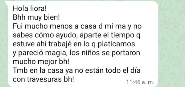 Curso dinámica entre hermanos - Imagen 9
